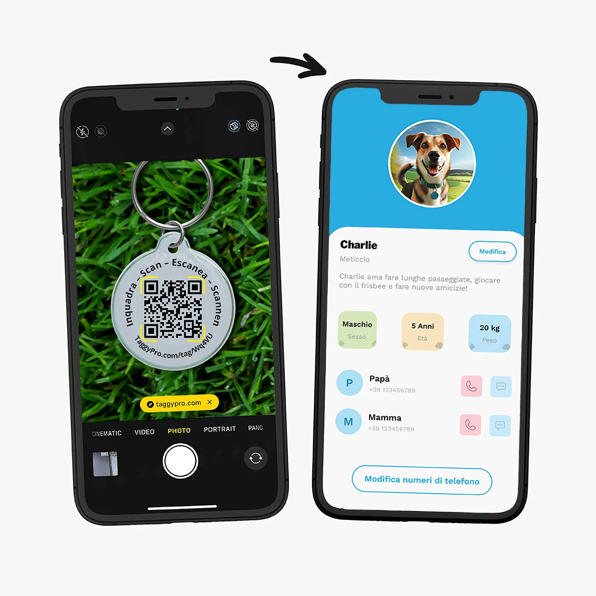TaggyPro Classic - Black