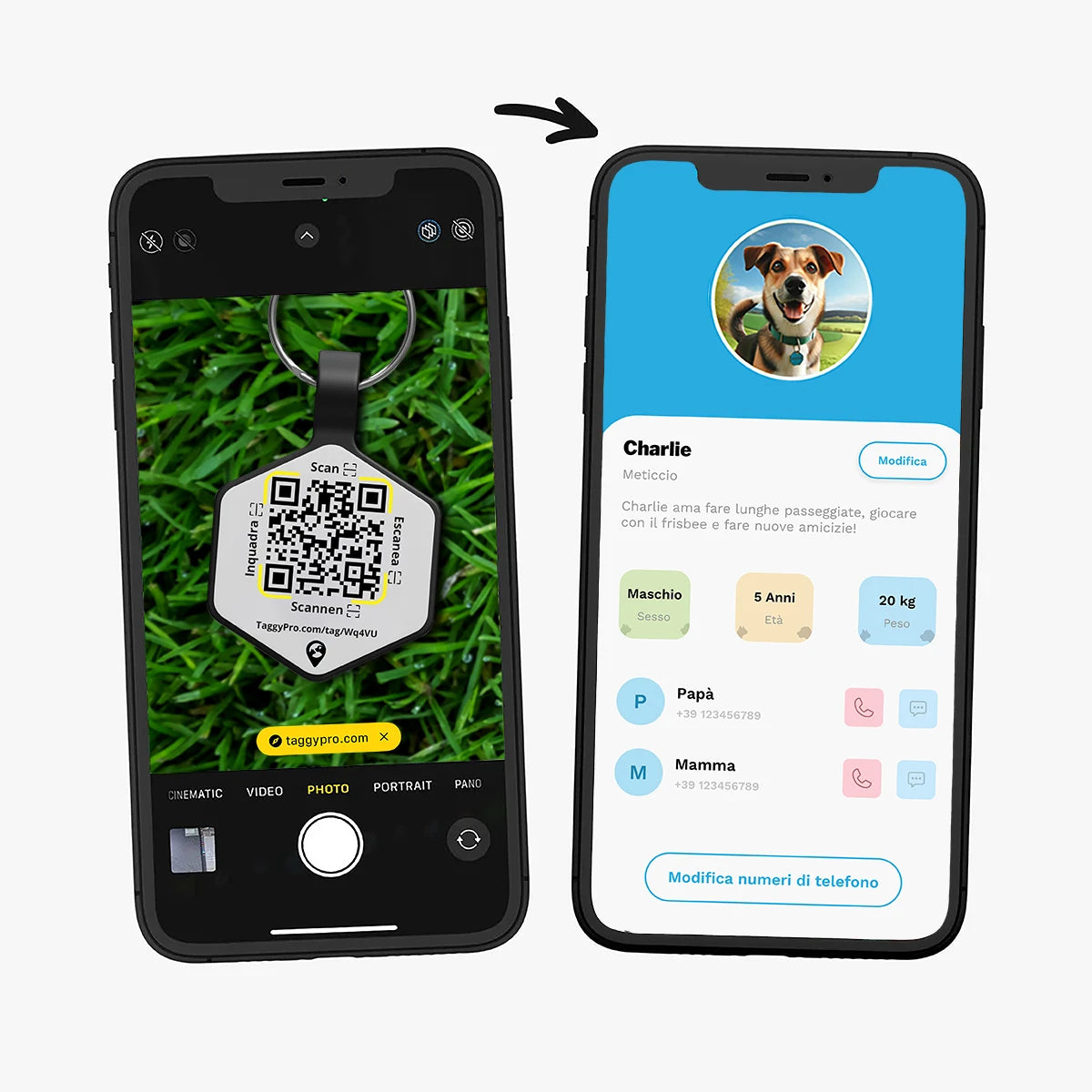 TaggyPro Silicone - Explorer