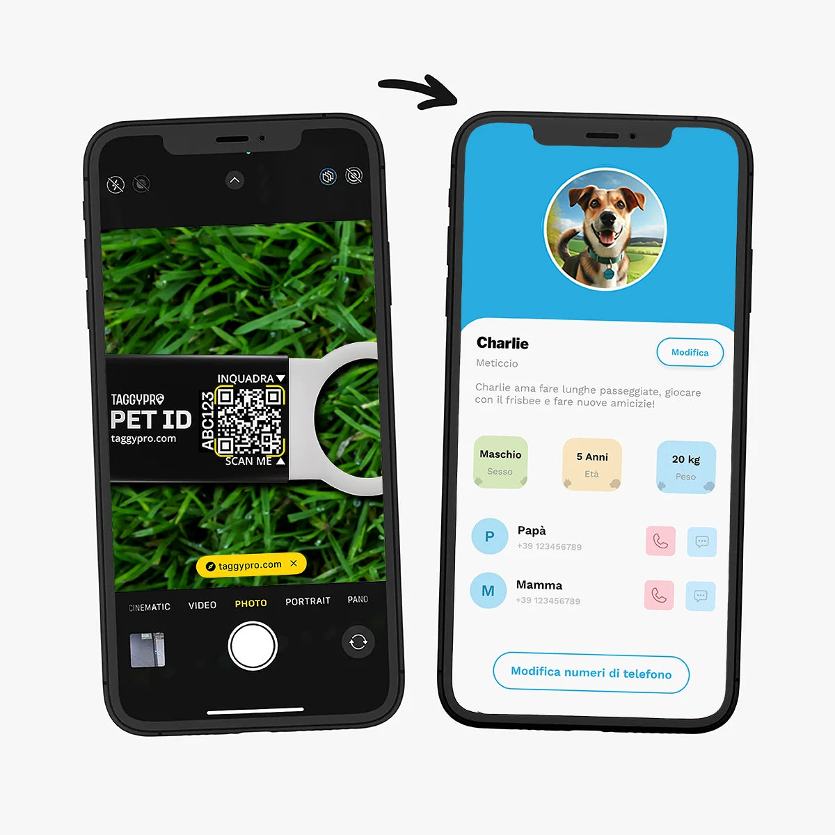 TaggyPro Slide