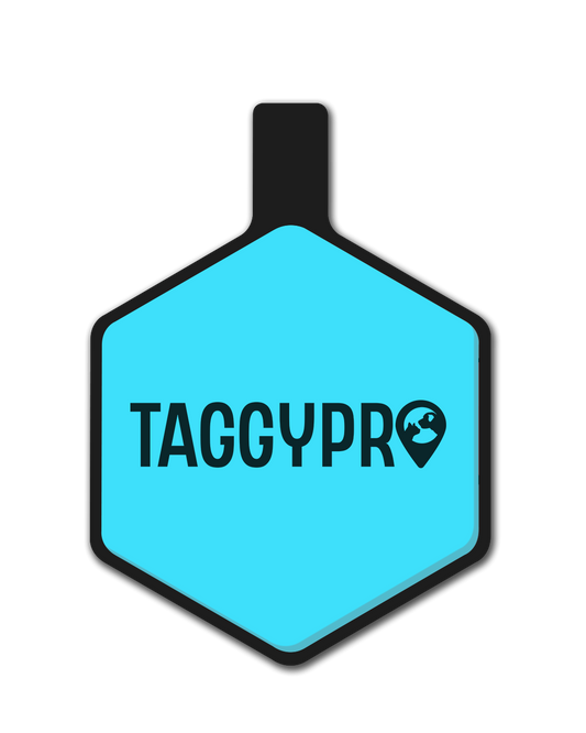 TaggyPro Silicone - Blue